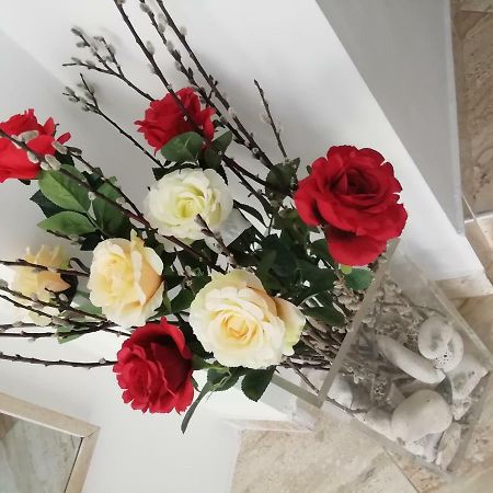 Studio Rose Pula Dış mekan fotoğraf