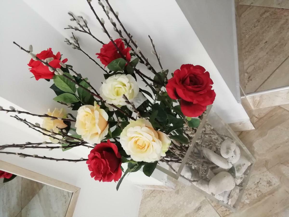 Studio Rose Pula Dış mekan fotoğraf